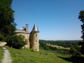 A castle with a prominent tower, surrounded by lush greenery and a clear sky. - Gîte in the castle - swimming pool with view - charm, history and nature (Lavenay)