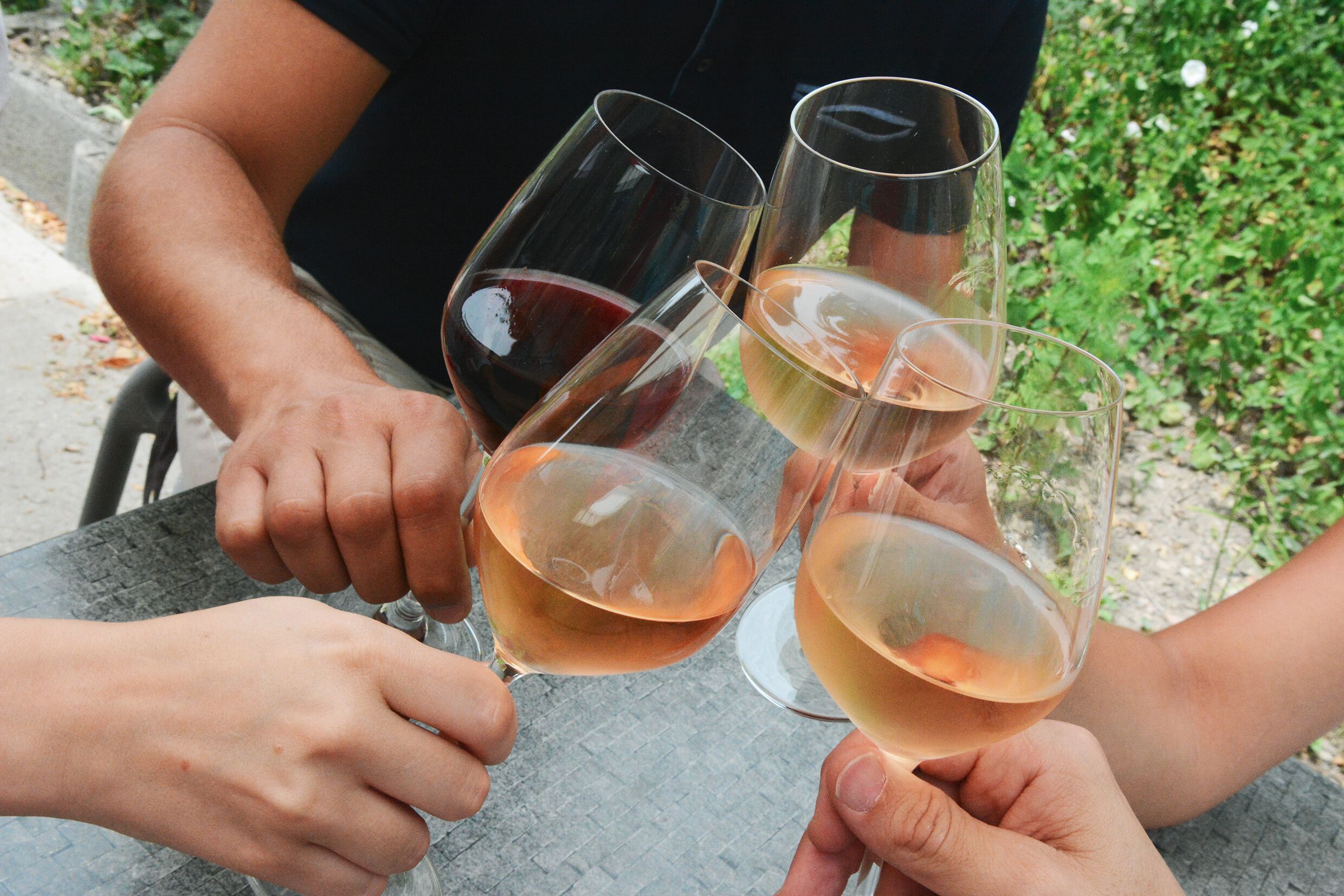 A group of people holding wine glasses at a table outdoors.