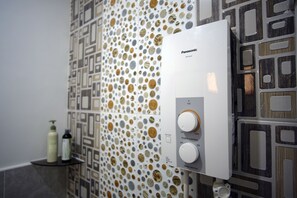 Shower, hair dryer, bidet, towels