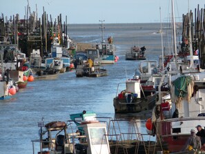 Marina - Cottage of character on the doors of the Vendée islands - 2 bedrooms (linen provided) (Bouin)
