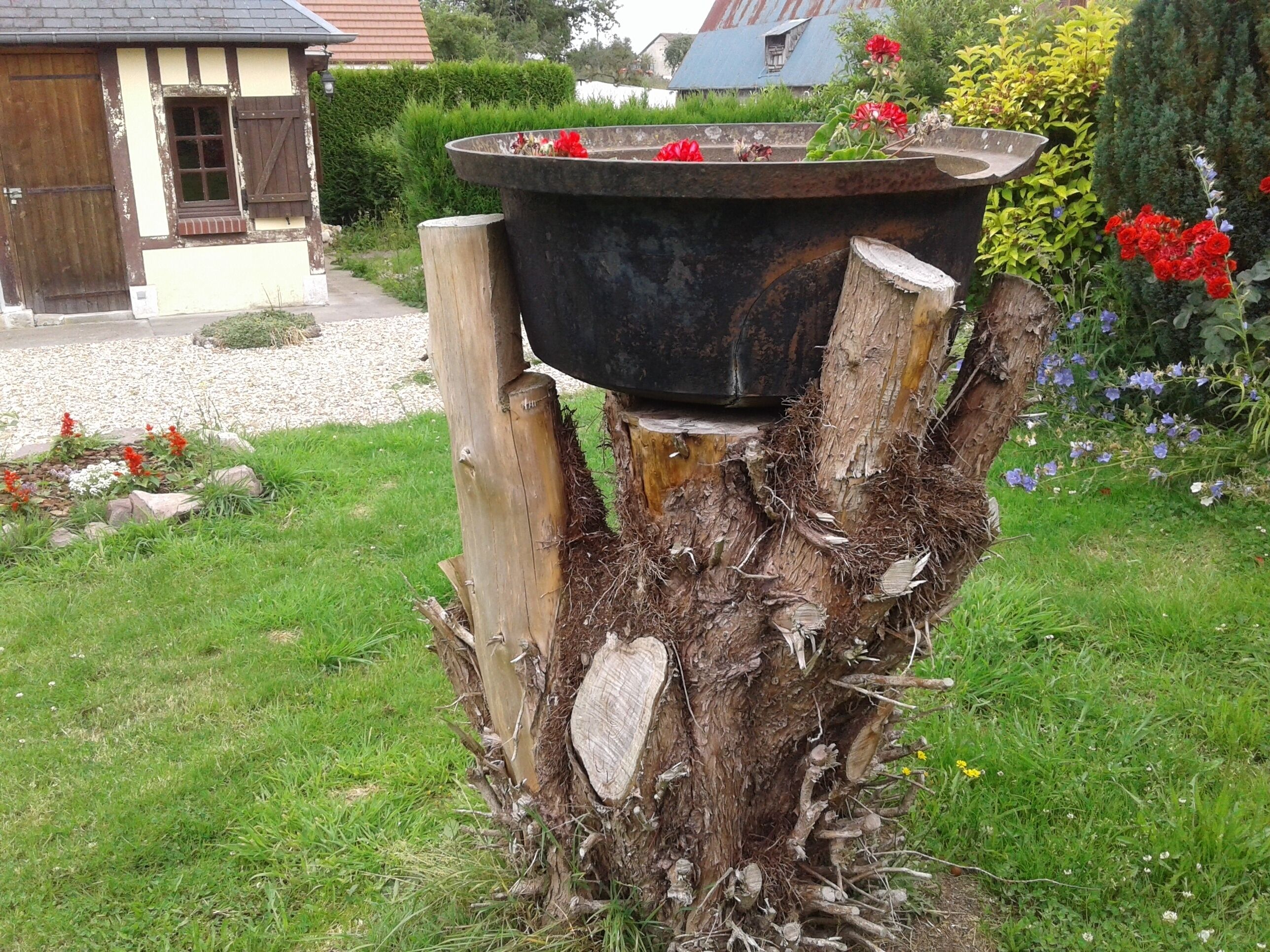 A rustic outdoor seating area with a wooden stump base and a large black planter filled with red flowers.