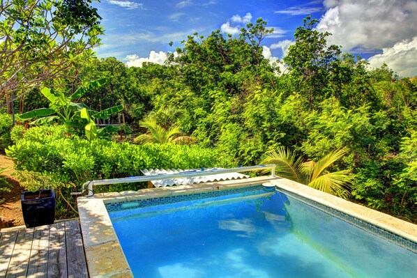 A swimming pool surrounded by lush greenery and trees.