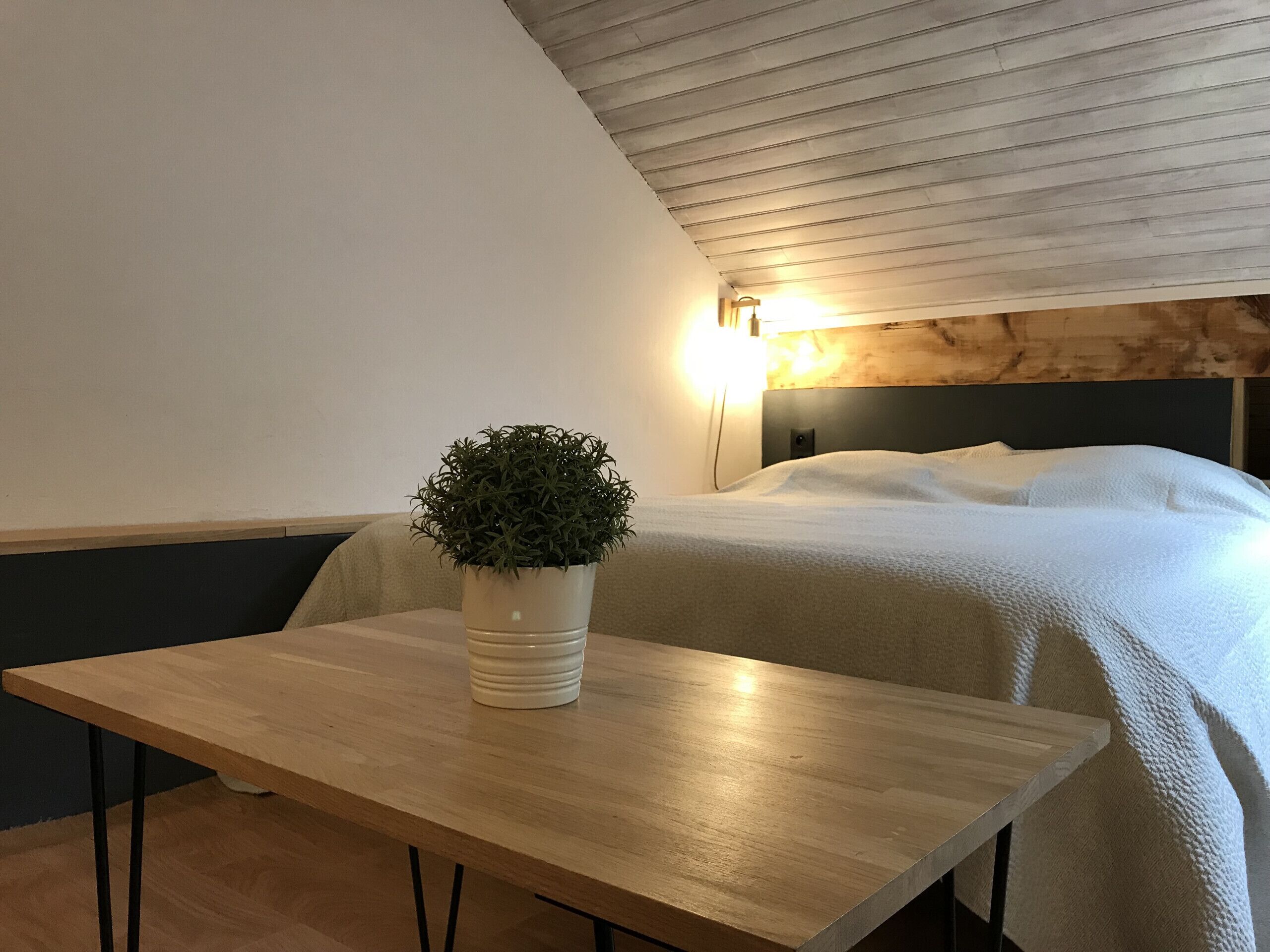 A bedroom with a bed, a bedside table with a potted plant, and a wall-mounted light.