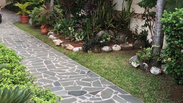 A stone pathway leading through a garden with various plants and a palm tree. - Your Home Away From Home (Rodney Bay)