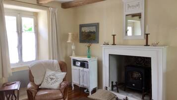 Télévision, cheminée, livres, médiathÚque