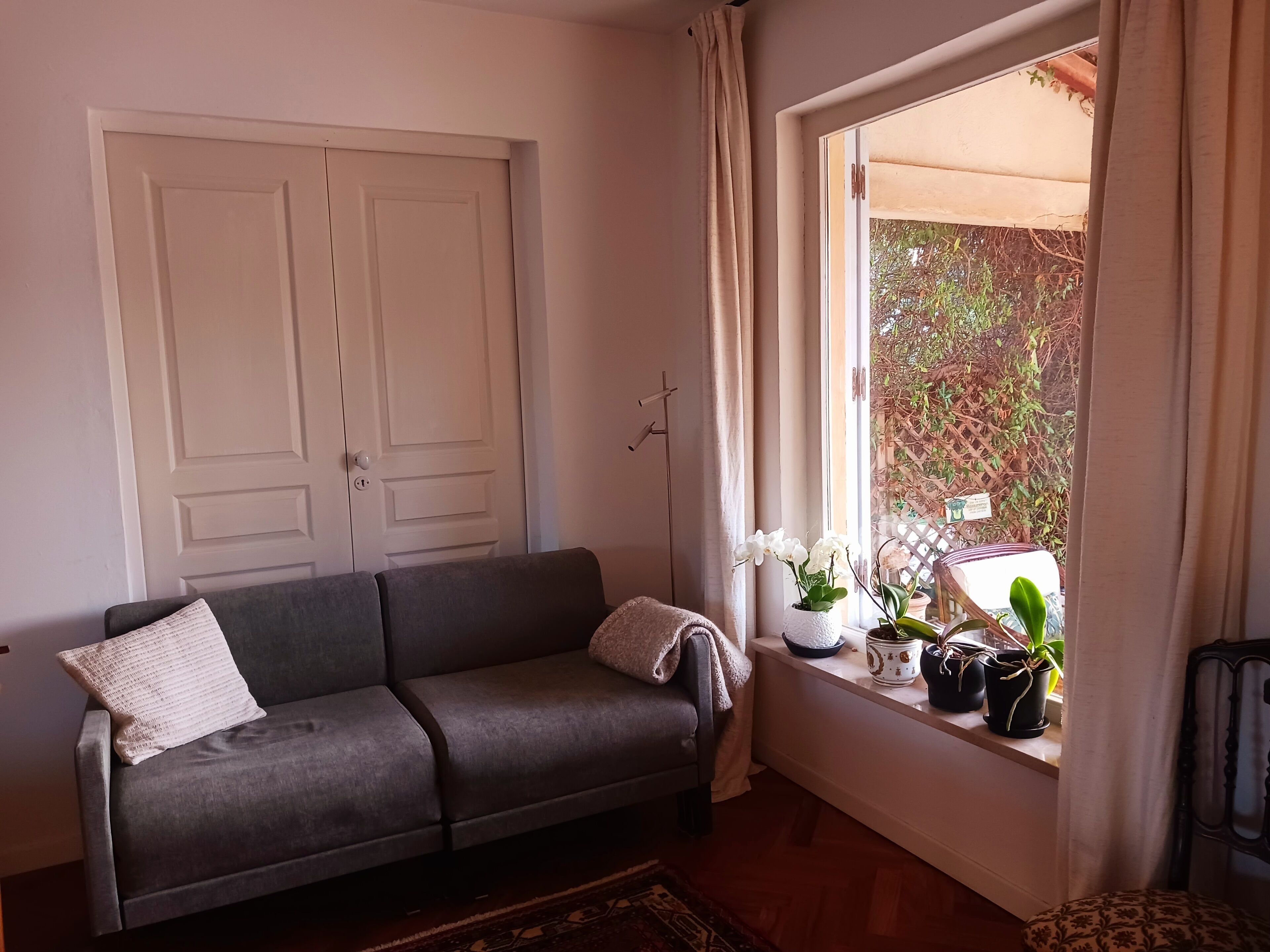 A room with a grey sofa, a white door, and a window with curtains.