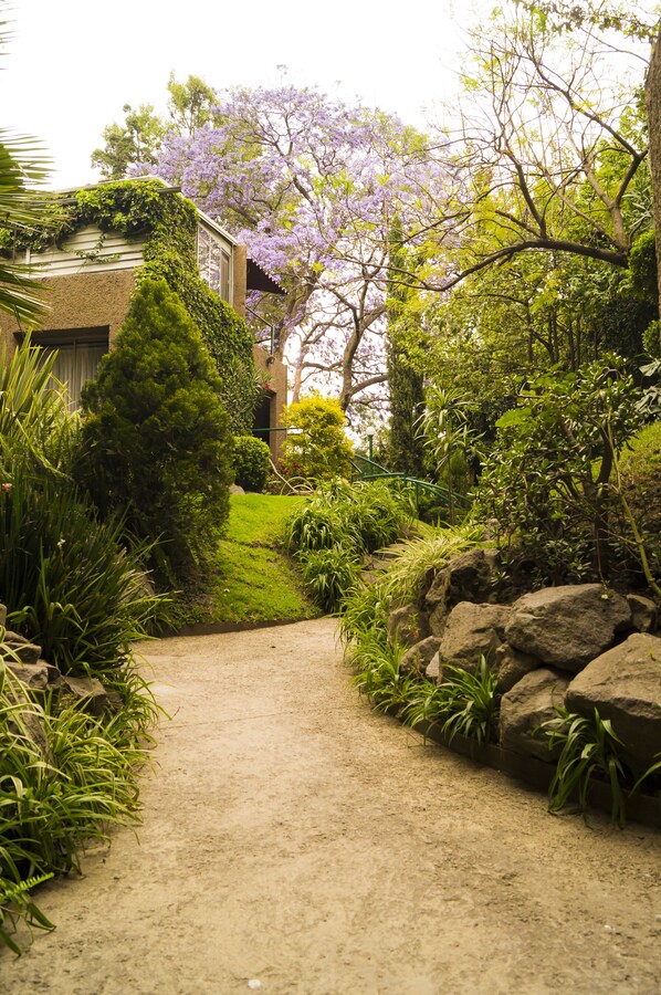 Property grounds - GARDEN HOUSE, WELCOME TO SAN ANGEL NEIGHBOURHOOD (Mexico, D. F)