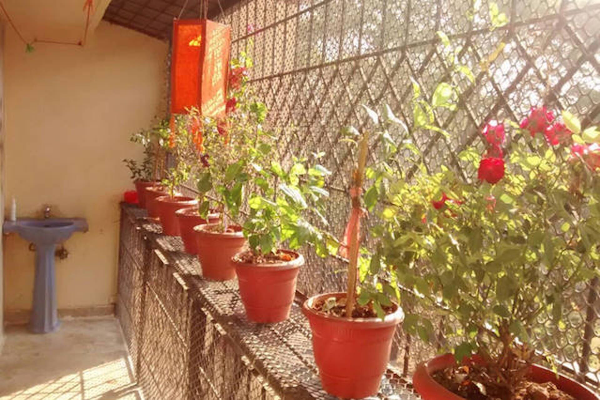 A room for those who roam :)