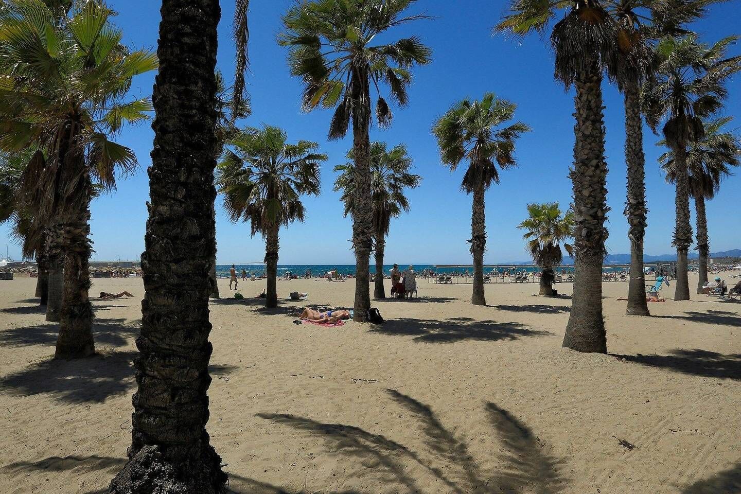 Apartment Lauren Salou