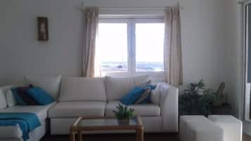 Televisión, chimenea, reproductor de DVD y libros