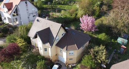 Gîte in a house in the heart of nature in Alsace near Mulhouse