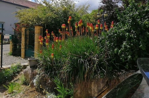 Gîte dans une maison en pleine nature en alsace secteur Mulhouse