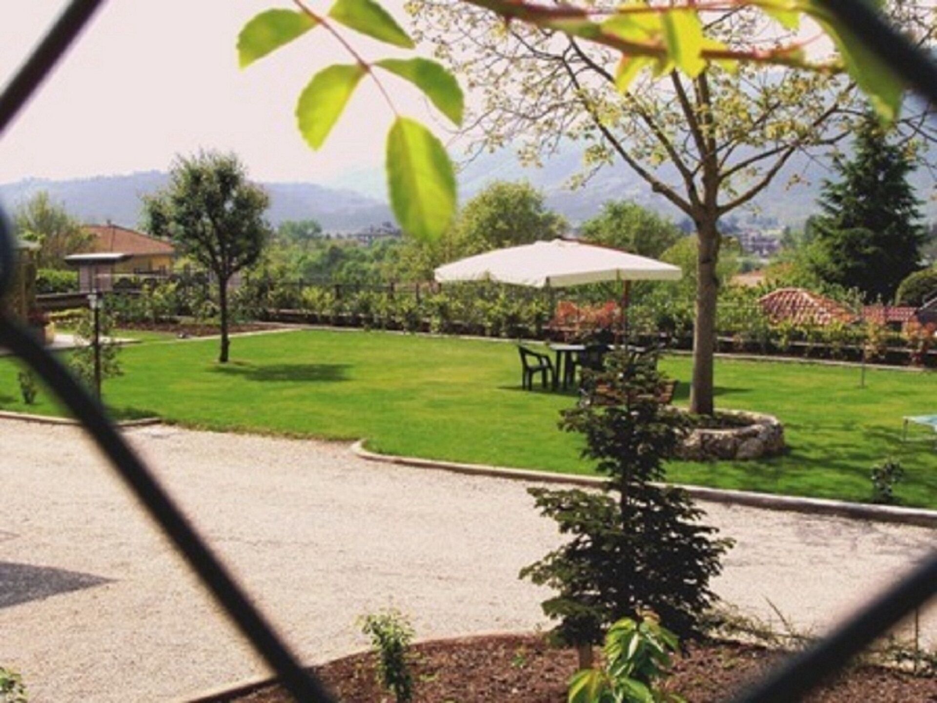 garden