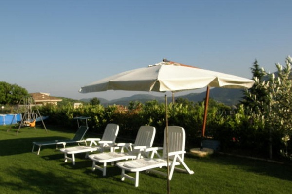 part of the garden