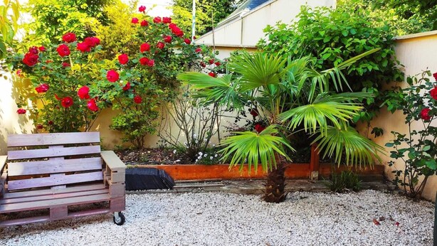 A garden with a wooden bench, red roses, and a palm tree. - Les Muguets Residence - Ground-Floor Apartment (Villers-sur-Mer)