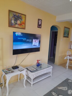 Smart TV, DVD player, books