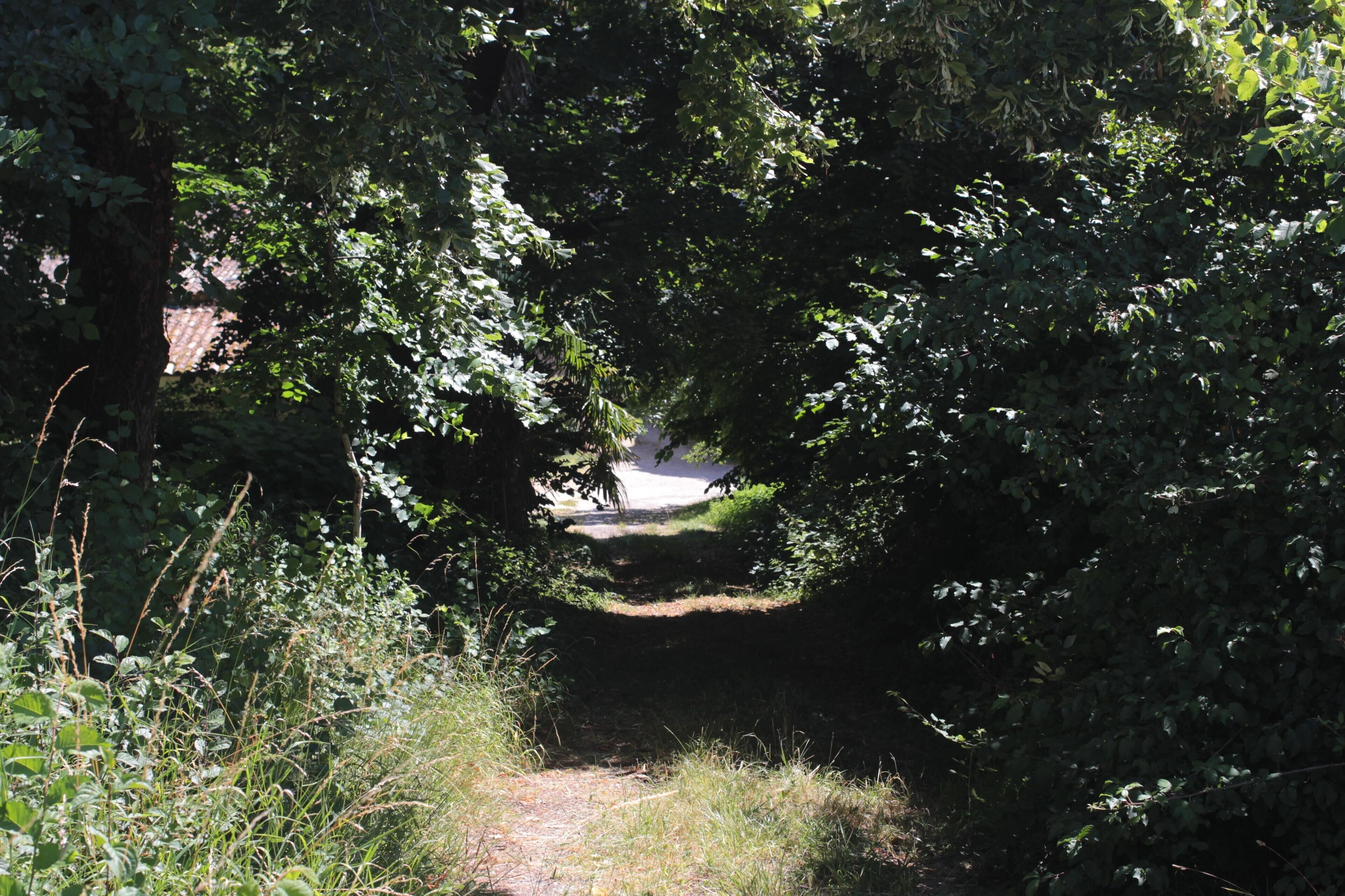 Between Country and Ocean, Ombrière welcomes lovers of charm and kind.