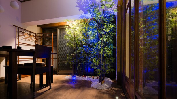 A room with a wooden floor, a dining table with chairs, a hanging light fixture, and a bamboo plant with a blue light.