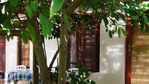 Ein Zimmer mit einem Tisch, der mit einer blau-weißen Karotuchdecke bedeckt ist, einem Fenster mit einem Holzklappladen und einem Baum im Vordergrund.
