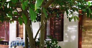 Outdoor dining - Welcome to #14, a skip & a hop to our famous Muizenberg beach, fun all the way. (Cape Town)