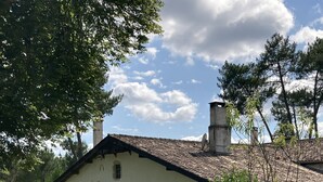 Een rustiek huis met pannendak, schoorsteen en een kleine tuin met een bankje en een stoel.