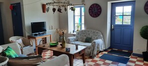 Televisión, reproductor de DVD, libros y estéreo 