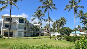 Un hotel de varios pisos con balcones, rodeado de palmeras y follaje.