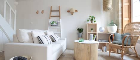 TV, fireplace, DVD player, books