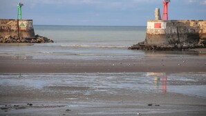Ein Strand mit zwei Leuchttürmen, einer grün und einer rot, und einem sandigen Ufer mit Vögeln.