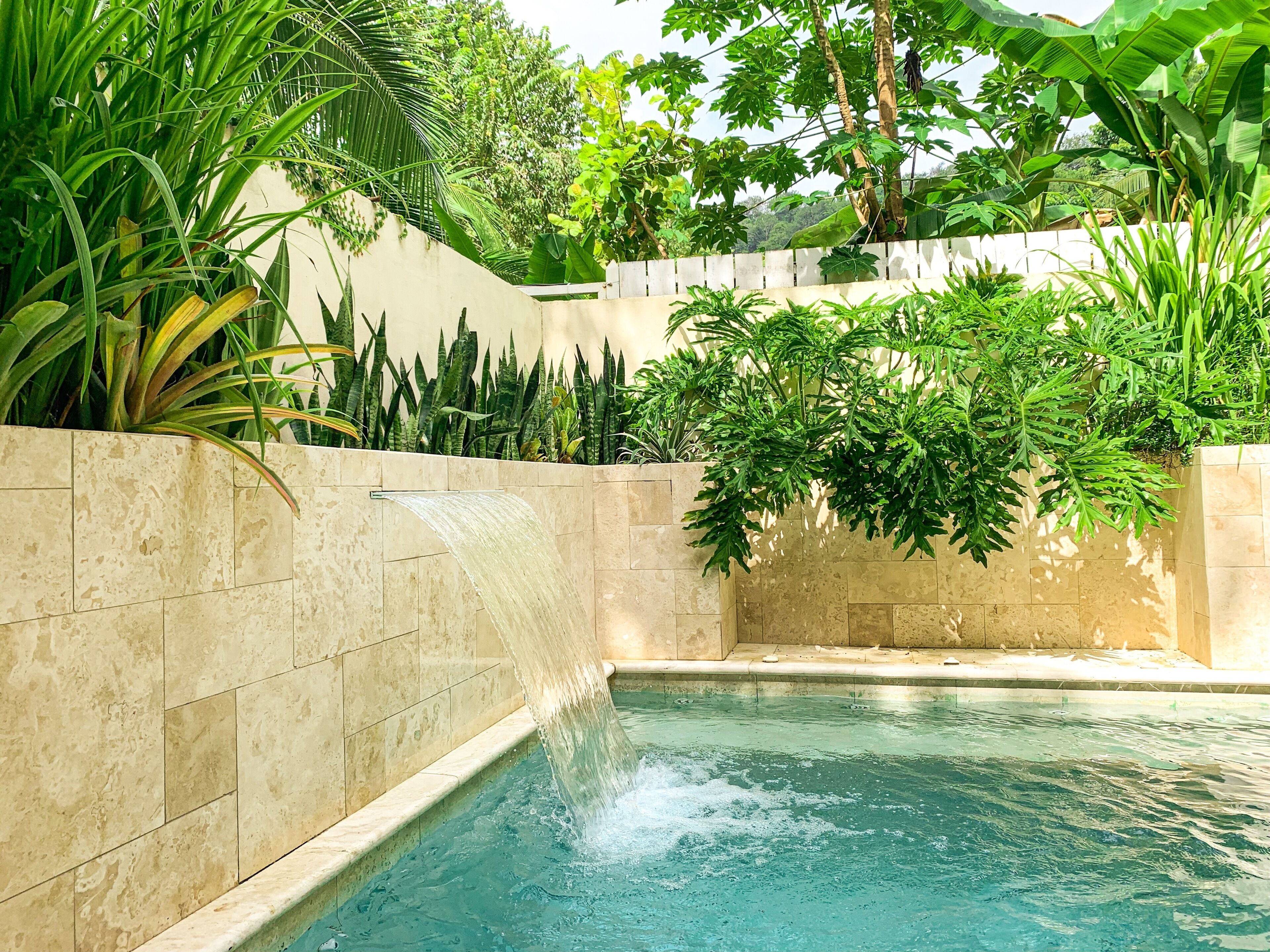 A swimming pool with a waterfall feature, surrounded by lush greenery and a stone wall.