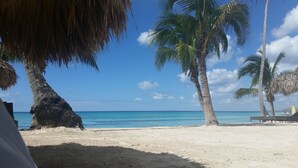 Ein Strand mit Palmen und wolkenlosem, blauem Himmel.