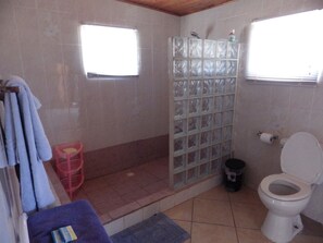 Shower, hair dryer, towels - One-Bedroom Apartment (#8) - Aruba Cunucu Residence (Noord)