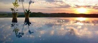 Antigua Casa de Pedro Chicote (Suite Suite A vista de Pájaro) for 2 / 3pers