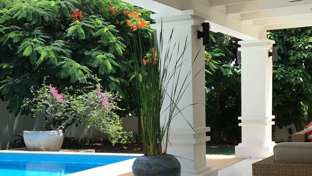 Un espacio al aire libre cubierto con piscina, una maceta grande y un sofá de mimbre.