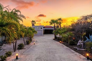 Un chemin menant à un bâtiment moderne doté d’un garage, entouré de palmiers et de plantes.
