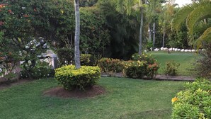 Ein gepflegter Garten mit einem Steinweg, üppigem Grün und verschiedenen blühenden Pflanzen.