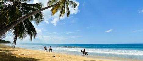 On the beach, sun loungers, beach towels