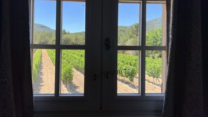 A window with a view of a vineyard and a dirt path.