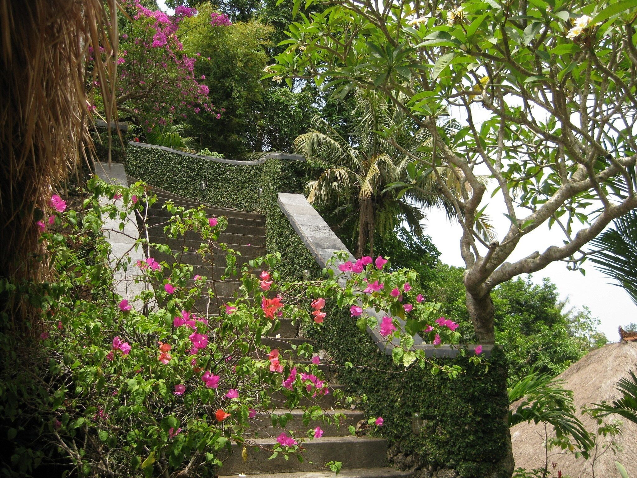 'BEAUGAINVILLEA' ROOM