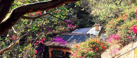 Terrein van de accommodatie