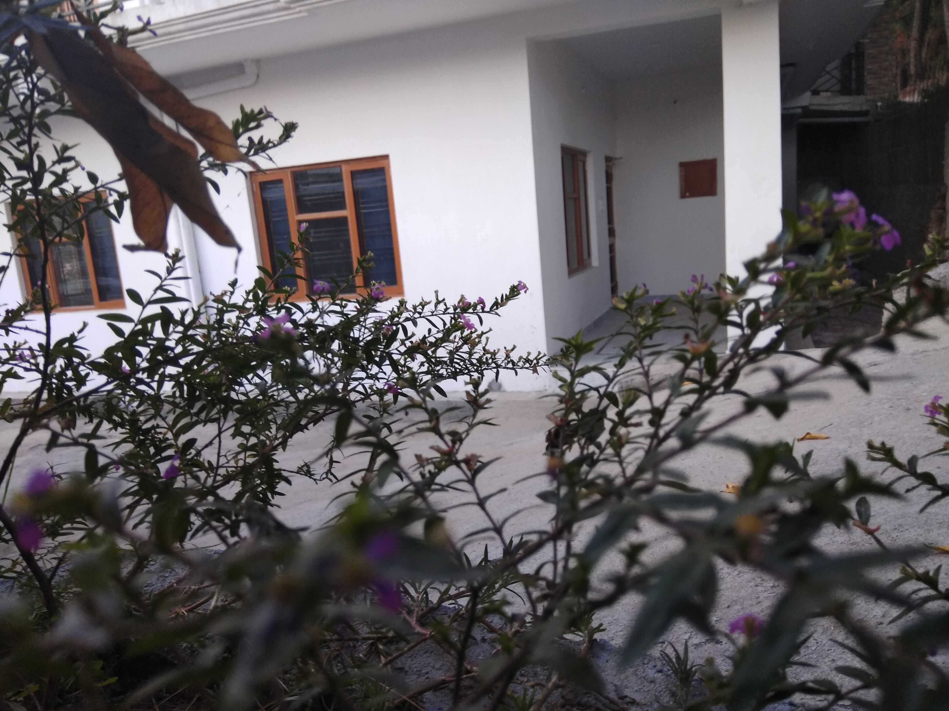 Urban Forest holiday home stay