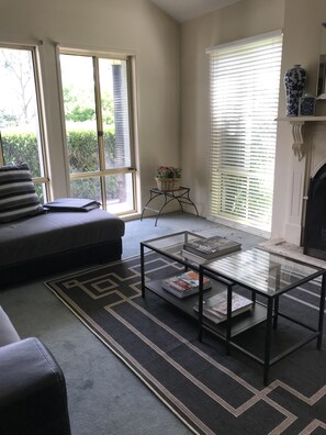 Televisor, llar de foc, reproductor de DVD i futbolí 