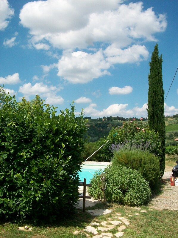 A garden with a swimming pool, surrounded by lush greenery and a tall tree.