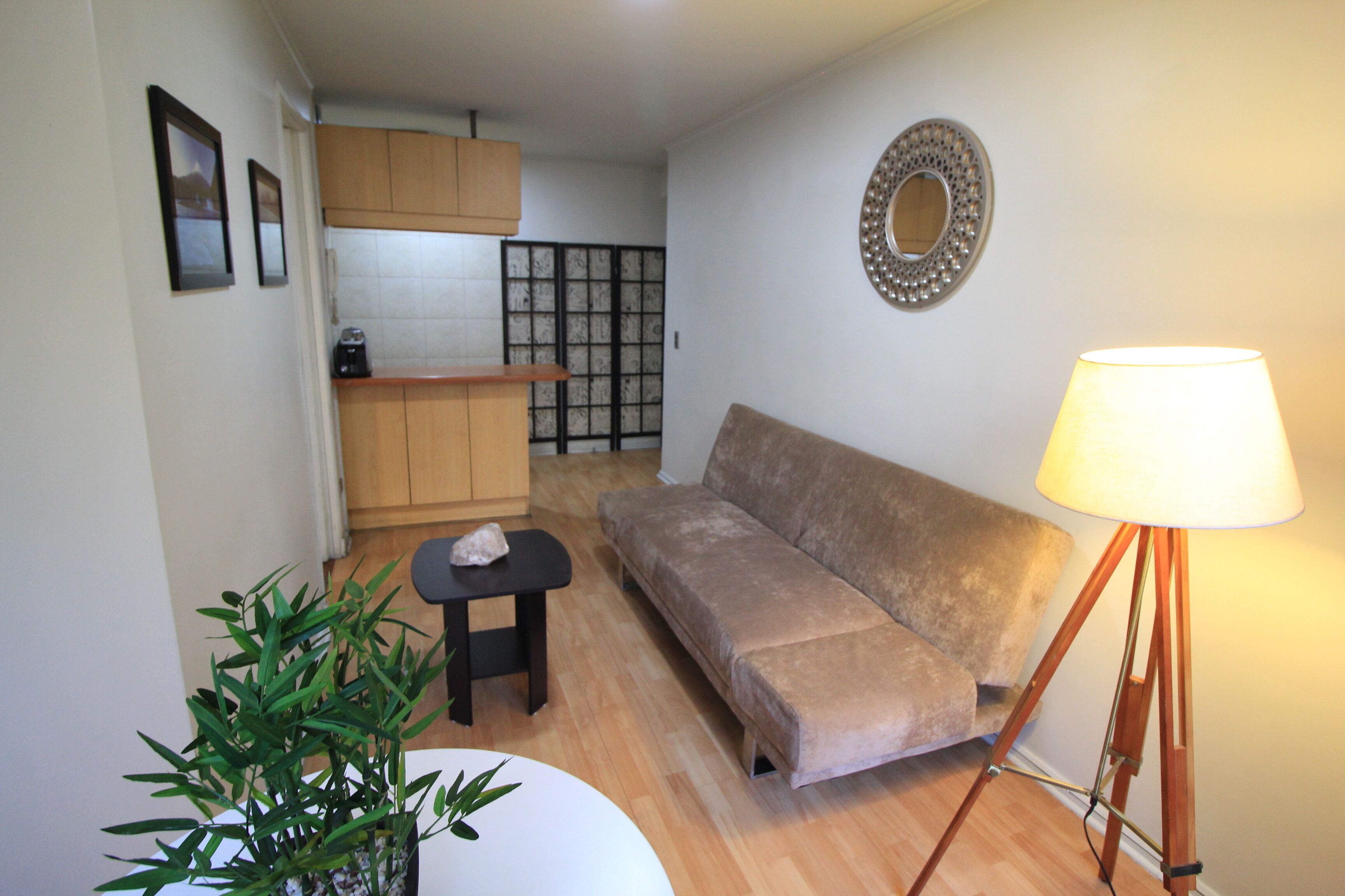 Beautiful apartment in Santiago in Barrio Bellas Artes! 