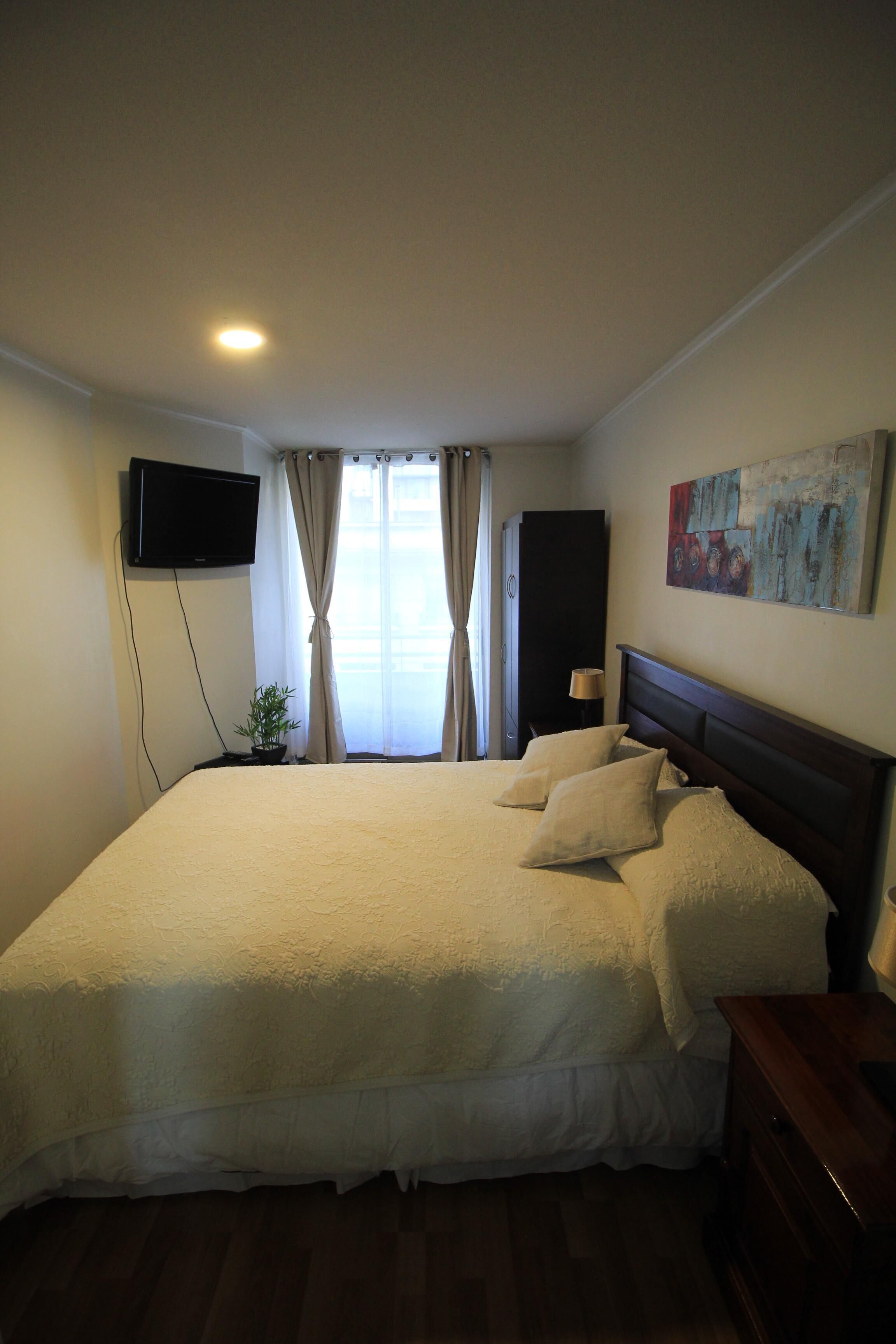 Beautiful apartment in Santiago in Barrio Bellas Artes! 