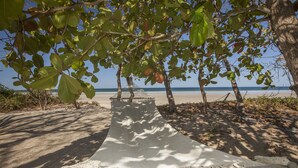 Een strand met een touwbalk, bomen en een helder uitzicht op de oceaan.
