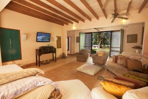 Een smart-tv, een open haard, een dvd-speler en boeken