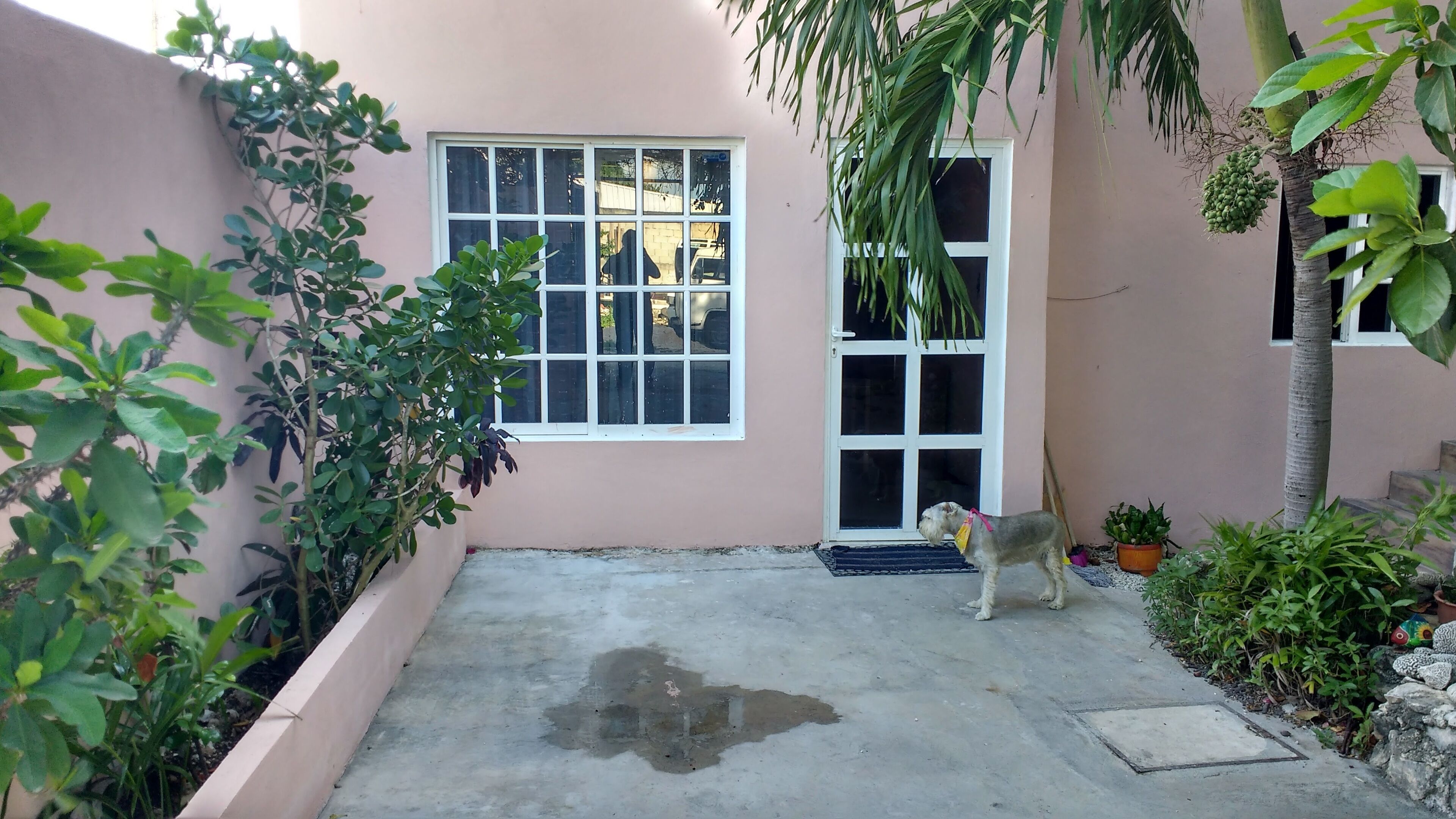 Casa estilo Mexicano