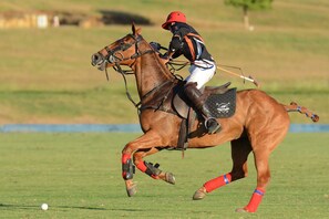 Golf - 3bed,3.5 bath, beach access, housekeeping, wifi, pool and more! (Saint James)