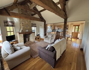 TV, fireplace, books, stereo